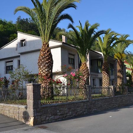 Apartamentos Las Palmeras Cangas de Onis Exterior photo